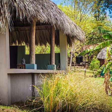 Coco Loco Eco-Resort Gemastepe Exteriér fotografie