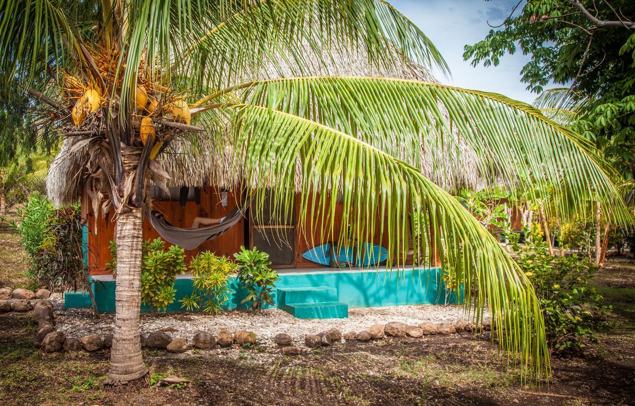 Coco Loco Eco-Resort Gemastepe Exteriér fotografie